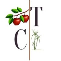 CDzire Tradeplus logo - Similar company to 963It