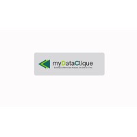 myDataClique logo - Similar company to Amdor Analytics