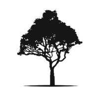 Koa Partners logo - Similar company to The Integral Group