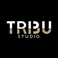 TribuStudioFr logo - Similar company to Top Design
