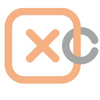 XChain.biz logo - Similar company to Paymattic