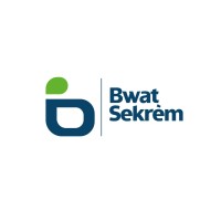 Bwat Sekrèm logo - Similar company to Atalou Microsystem