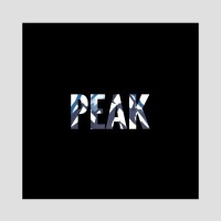 Peak Ventures logo - Similar company to Vestech Partners