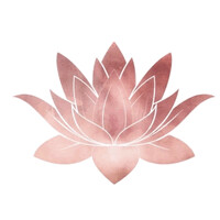 Lotus & Phoenix Psychotherapy logo - Similar company to Disciples Of Christ