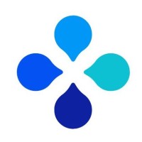 Blue Rise Group