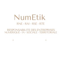 NumEtik - Cabinet de veille et de Co-Pilotage Equipe Dirigeante : Robustesse - Numérique Responsable logo - Similar company to A.G. Veille