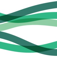 Fargosha logo - Similar company to Netap Business Studio