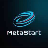 MetaStart logo - Similar company to Netcogs Technologies