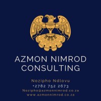 AZMON NIMROD CONSULTING logo - Similar company to Azmon Accounting Inc.