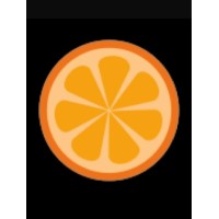 Orange Custom Systems logo - Similar company to Mcs-Tech
