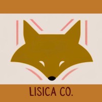 Lisica Co logo - Similar company to Rayapp