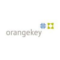 orangekey consulting GmbH logo - Similar company to Cisafa