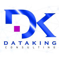 Dataking Consulting logo - Similar company to Banyani