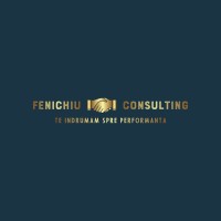 Fenichiu Consulting logo - Similar company to Nethouse Srl