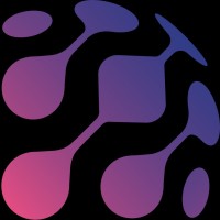Data Insight Automation logo - Similar company to Data Prime