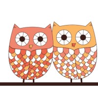 Older Wiser Life Services logo - Similar company to Alternatives For The Older Adult