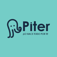 PITER logo - Similar company to Piter Solution Vms