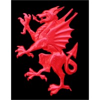 Llewellyn (Safety Advisors) Europe Ltd logo - Similar company to Menu Mentors