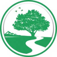 Pioneer Wealth Management logo - Similar company to Neba Wealth Management