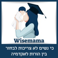 Wisemama עמותת logo - Similar company to ארגון בוגרי חיל האויר - Israel Air Force Alumni