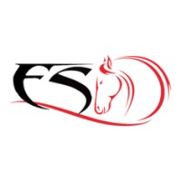 Equine Solutions logo - Similar company to Bricks