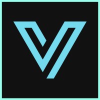 Vigilantec logo - Similar company to Netline