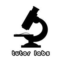 Tutor Labs logo - Similar company to Tutor Hunt