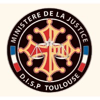 DISP Toulouse logo - Similar company to Snp Fo Direction