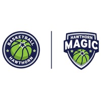 Basketball Hawthorn logo - Similar company to Stelno Logistics Services