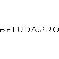 Beluda.Pro logo - Similar company to Reset Game Studio