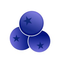 Chernika Digital Studio logo - Similar company to Infinittex