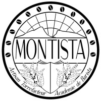 MONTISTA logo - Similar company to L'Essentiel Montpellier