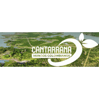 Mangos Cantarrana logo - Similar company to Earthfructifera International Holding Group