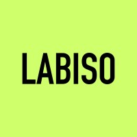 LABISO logo - Similar company to Netzexpert