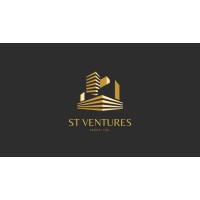ST Ventures Group logo - Similar company to Skyefox Ventures - Sfxv