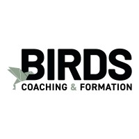 BIRDS Coaching logo - Similar company to Playitagain