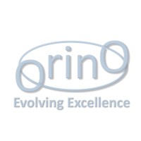 OrinO BV logo - Similar company to Ctmodule Ag