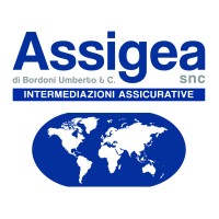 Assigea Sondrio | Intermediazioni Assicurative logo - Similar company to Cgil Sondrio