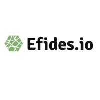 Efides.io logo - Similar company to Lgr Global
