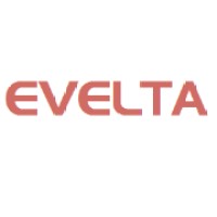 Evelta Electronics logo - Similar company to 7Semi