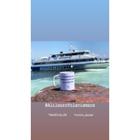 Marintecnica Srl logo - Similar company to Capitan Morgan