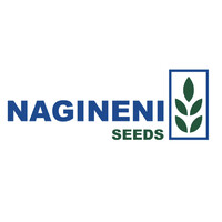 NAGINENI SEEDS (OPC) PVT LTD logo - Similar company to A V Enterprises