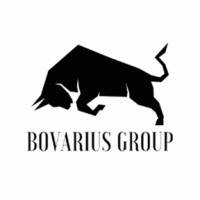 Bovarius Capital Partners logo - Similar company to Southfields Group