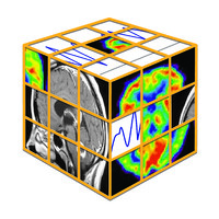 COGNITIVE NEUROSCIENCE SOCIETY logo - Similar company to Brain Vision Solutions Inc.