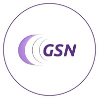 GSN Solutions logo - Similar company to Sas Technology