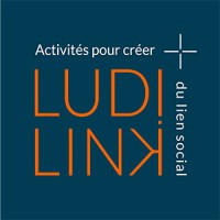 Ludilink logo - Similar company to Outsourcing Network Intelligence