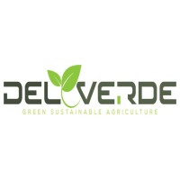Del Verde Corp logo - Similar company to Delverde Canada