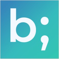 Binary Centric logo - Similar company to Flexile Finds