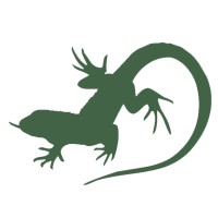 Monitor Media Group logo - Similar company to Levelup Media