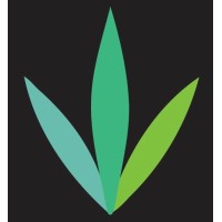 I Choose Cannabis logo - Similar company to Cannabis Content Llc